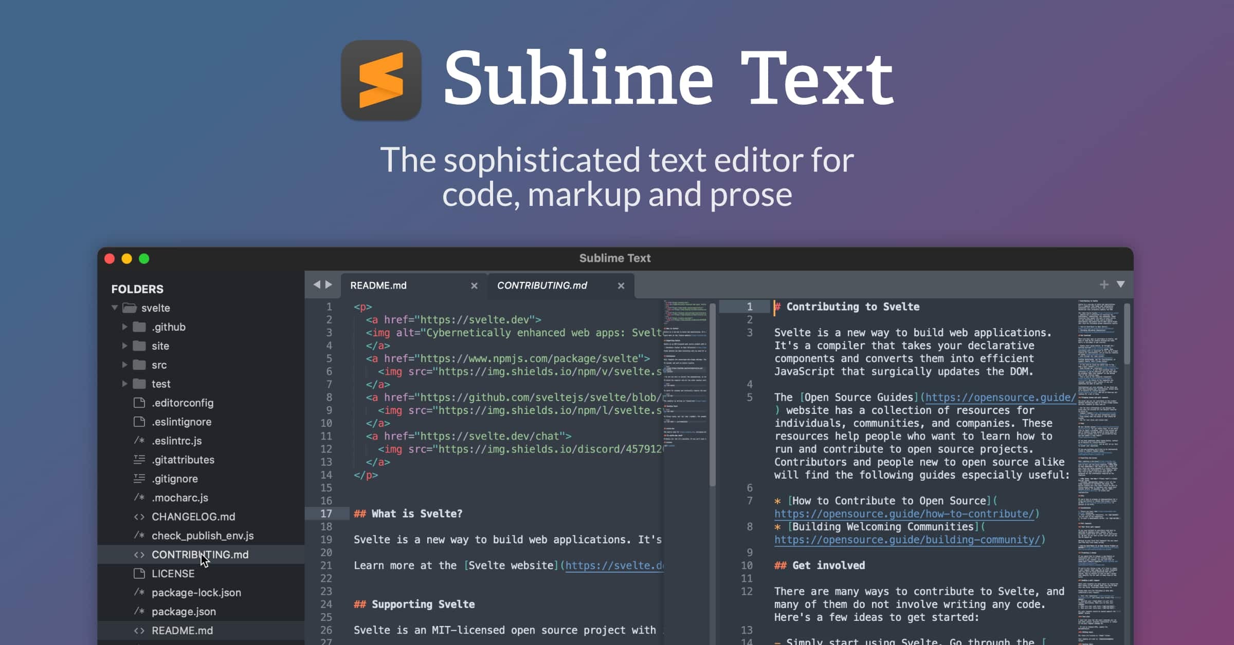 Sublime Text Code Editor