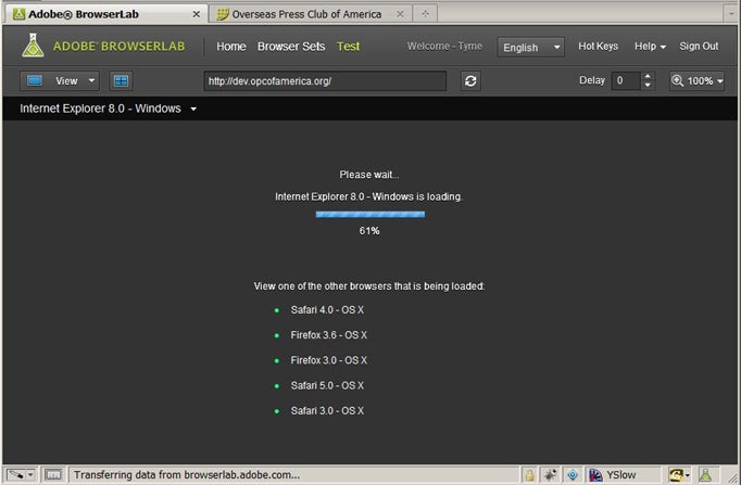 screenshot of cross-browser testing tools - adobe browserlab
