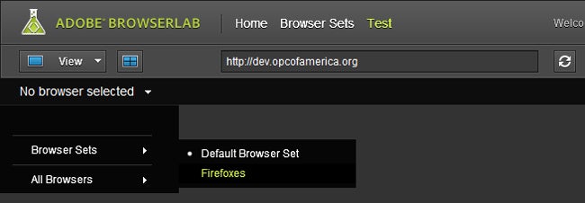 screenshot of cross-browser testing tools - adobe browserlab