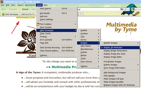 screenshot of firefox extension web developer - images