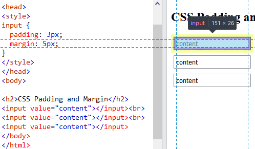 CSS Styling Padding and Margins